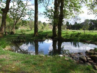 Hafan Y Coed Bed and Breakfast Abercraf Εξωτερικό φωτογραφία